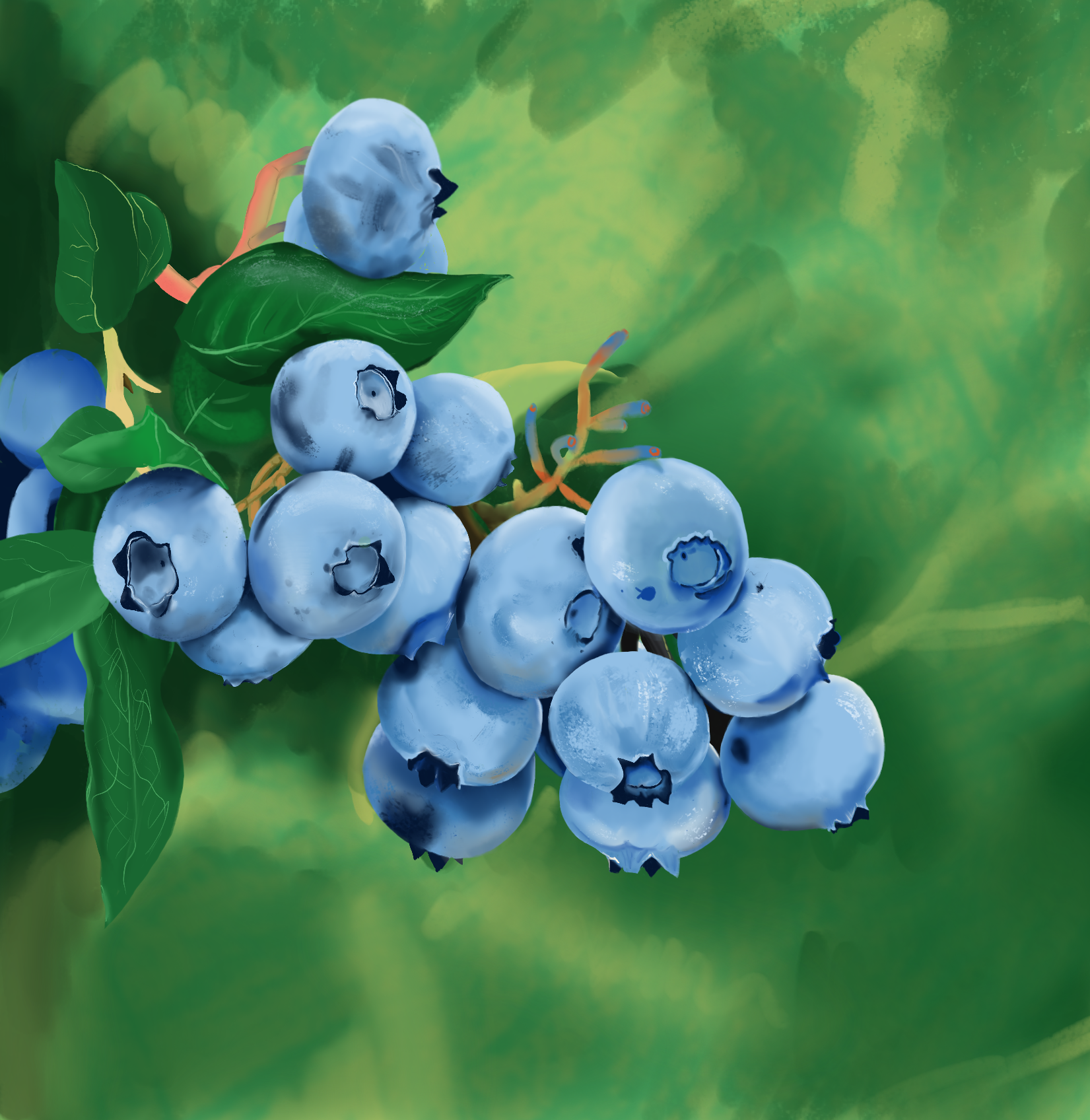 blueberries artwork